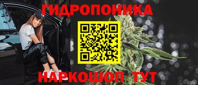 шишки Гуково