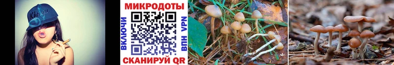 MEGA ссылка  Мегион  Псилоцибиновые грибы Magic Shrooms 