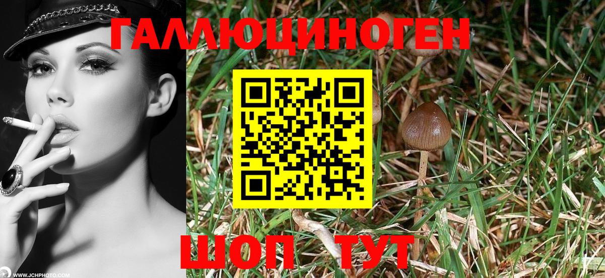 Псилоцибиновые грибы мухоморы Мегион