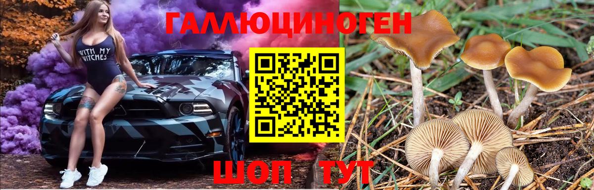 Мегион  Галлюциногенные грибы MAGIC MUSHROOMS  Вход с VPN 